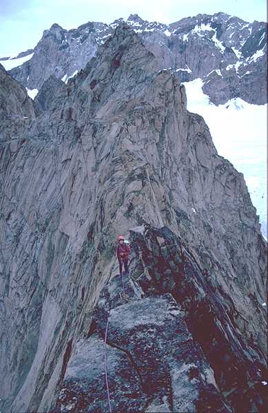 Down Load Time 14 secs at 28k